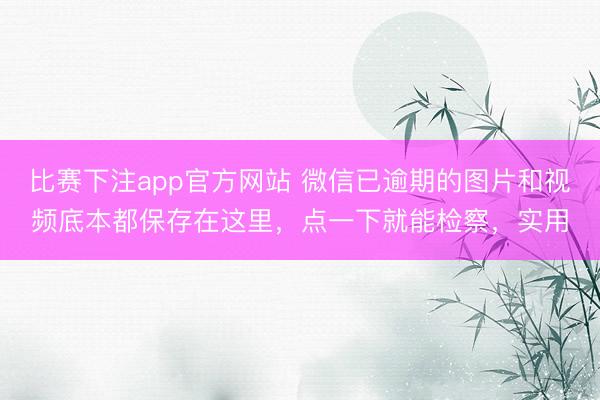 比赛下注app官方网站 微信已逾期的图片和视频底本都保存在这里,点一下就能检察,实用