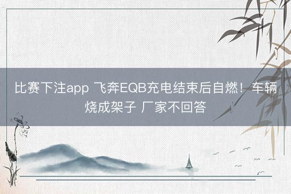 比赛下注app 飞奔EQB充电结束后自燃！车辆烧成架子 厂家不回答