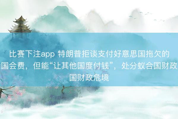 比赛下注app 特朗普拒谈支付好意思国拖欠的蚁合国会费，但能“让其他国度付钱”，处分蚁合国财政危境