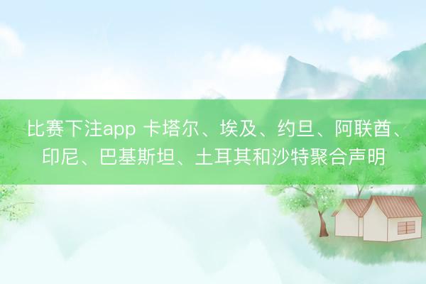 比赛下注app 卡塔尔、埃及、约旦、阿联酋、印尼、巴基斯坦、土耳其和沙特聚合声明
