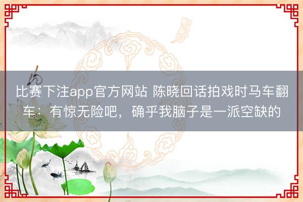比赛下注app官方网站 陈晓回话拍戏时马车翻车：有惊无险吧，确乎我脑子是一派空缺的