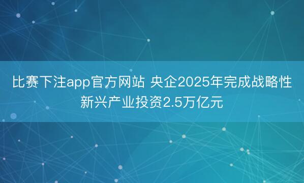 比赛下注app官方网站 央企2025年完成战略性新兴产业投资2.5万亿元