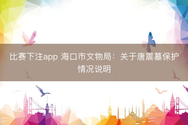 比赛下注app 海口市文物局:关于唐震墓保护情况说明