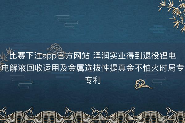 比赛下注app官方网站 泽润实业得到退役锂电板电解液回收运用及金属选拔性提真金不怕火时局专利
