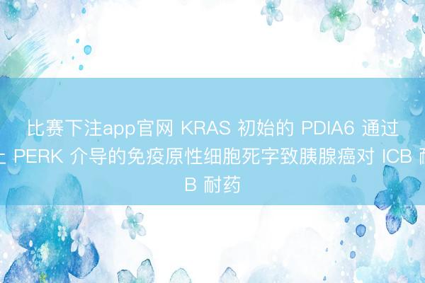 比赛下注app官网 KRAS 初始的 PDIA6 通过遏止 PERK 介导的免疫原性细胞死字致胰腺癌对 ICB 耐药