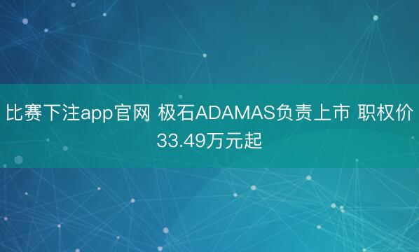 比赛下注app官网 极石ADAMAS负责上市 职权价33.49万元起
