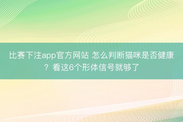 比赛下注app官方网站 怎么判断猫咪是否健康？看这6个形体信号就够了