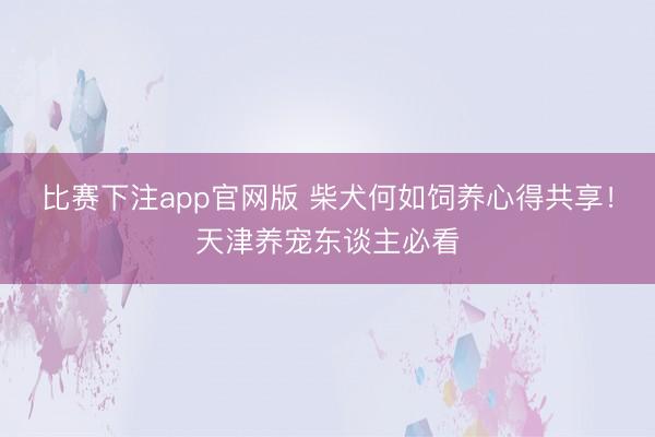 比赛下注app官网版 柴犬何如饲养心得共享!天津养宠东谈主必看