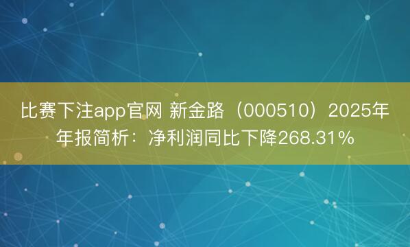 比赛下注app官网 新金路（000510）2025年年报简析：净利润同比下降268.31%