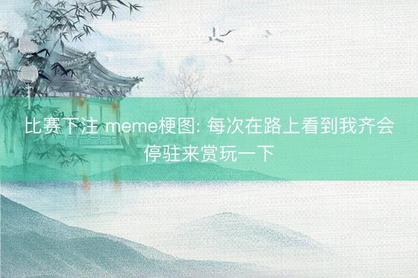 比赛下注 meme梗图: 每次在路上看到我齐会停驻来赏玩一下