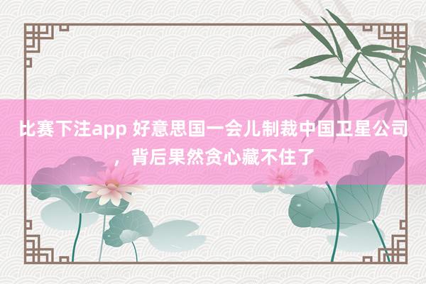 比赛下注app 好意思国一会儿制裁中国卫星公司,背后果然贪心藏不住了