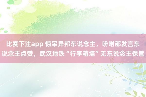 比赛下注app 惊呆异邦东说念主,吩咐部发言东说念主点赞,武汉地铁“行李箱墙”无东说念主保管