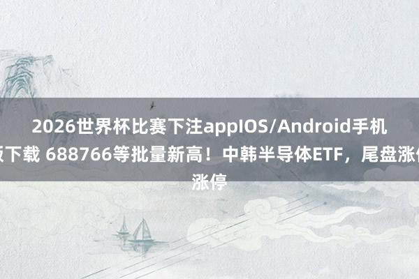 2026世界杯比赛下注appIOS/Android手机版下载 688766等批量新高！中韩半导体ETF，尾盘涨停