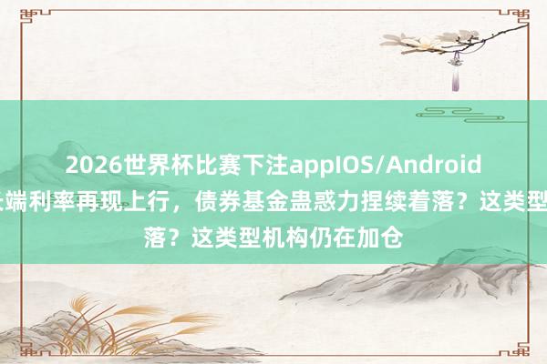 2026世界杯比赛下注appIOS/Android手机版下载 长端利率再现上行，债券基金蛊惑力捏续着落？这类型机构仍在加仓