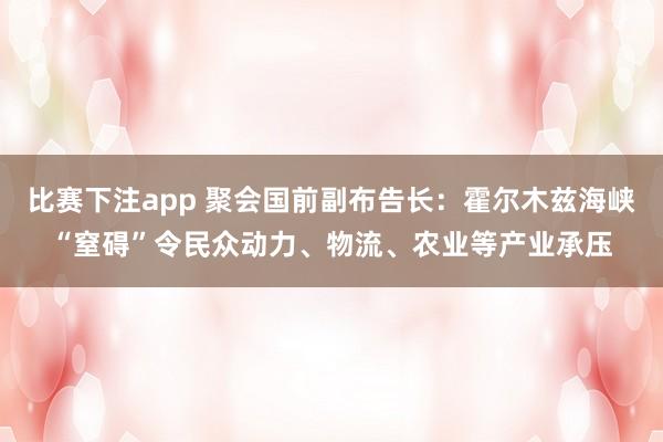 比赛下注app 聚会国前副布告长：霍尔木兹海峡“窒碍”令民众动力、物流、农业等产业承压