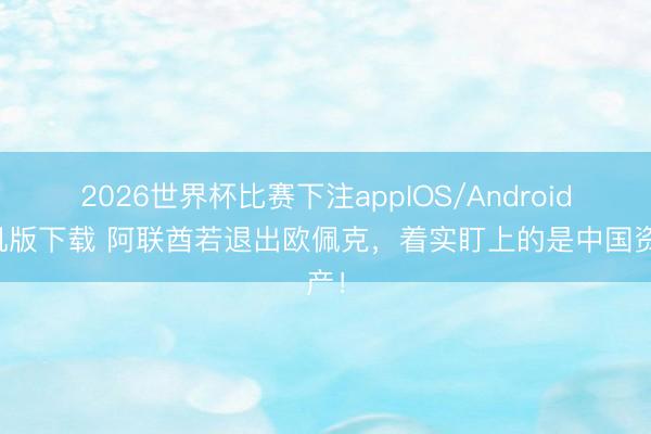 2026世界杯比赛下注appIOS/Android手机版下载 阿联酋若退出欧佩克，着实盯上的是中国资产！
