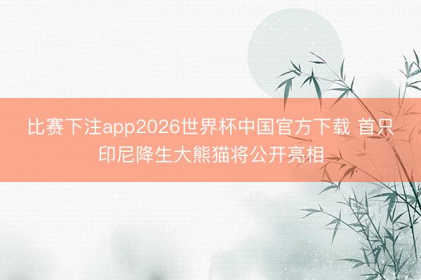 比赛下注app2026世界杯中国官方下载 首只印尼降生大熊猫将公开亮相