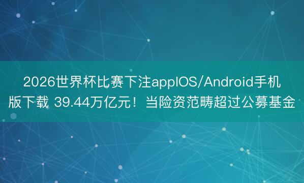 2026世界杯比赛下注appIOS/Android手机版下载 39.44万亿元！当险资范畴超过公募基金