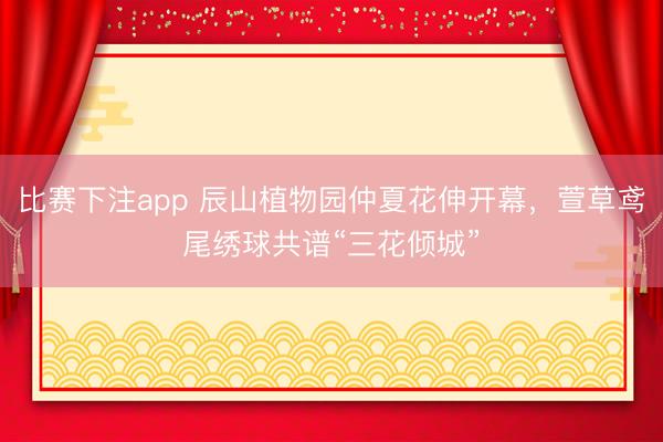 比赛下注app 辰山植物园仲夏花伸开幕,萱草鸢尾绣球共谱“三花倾城”