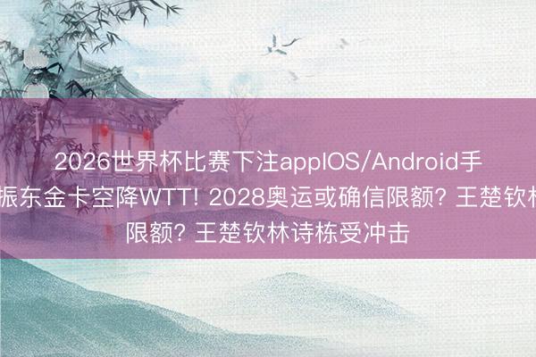 2026世界杯比赛下注appIOS/Android手机版下载 樊振东金卡空降WTT! 2028奥运或确信限额? 王楚钦林诗栋受冲击