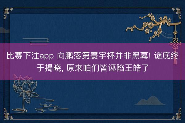 比赛下注app 向鹏落第寰宇杯并非黑幕! 谜底终于揭晓， 原来咱们皆诬陷王皓了