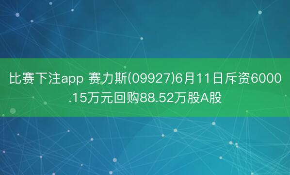 比赛下注app 赛力斯(09927)6月11日斥资6000.15万元回购88.52万股A股